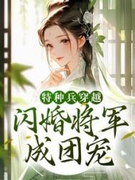 特种兵闪婚系列