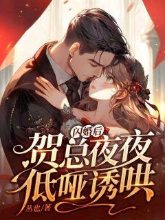 贺总的闪婚暖妻免费观看