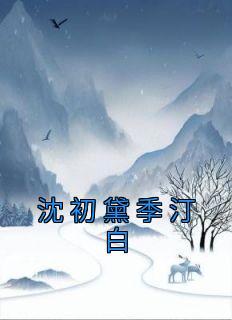 沈初黛季汀白在线阅读