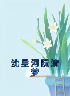 沈清梦贺星河