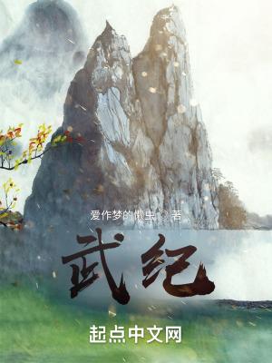 武纪无错版