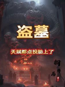 盗墓天盗系统