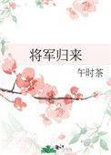 将军归来电视剧