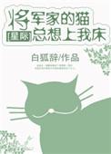 将军家的猫总想上我家的床