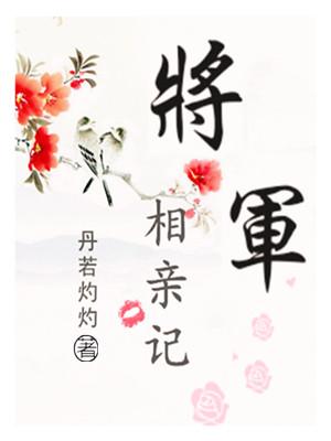 将军抢亲记免费