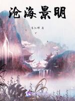 沧海明珠作品集