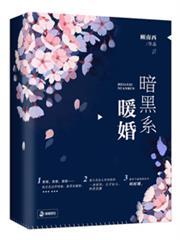 暗黑系暖婚全文免费完整版