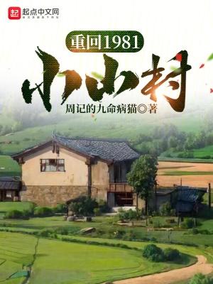 重回1981小山村许东年笔趣阁