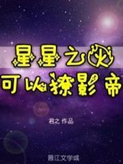 星星之火可以撩你txt宝书